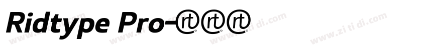 Ridtype Pro字体转换